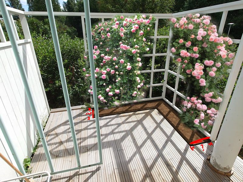 Climbing Rose Trellis