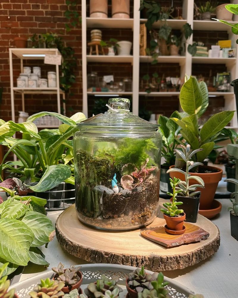 Terrarium Addition