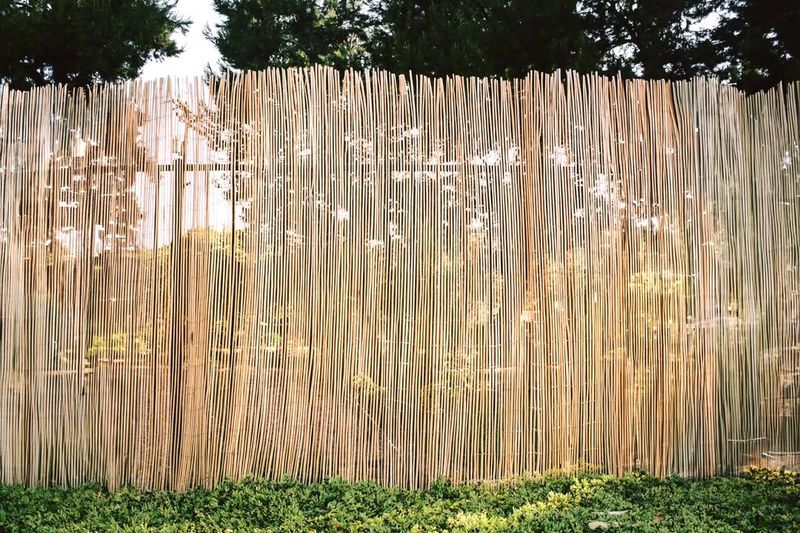 Bamboo Fencing