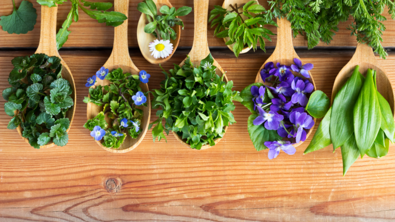 20 Edible Flowers You Should Grow In Your Vegetable Garden (Plus Few Extra Delicious Ones)