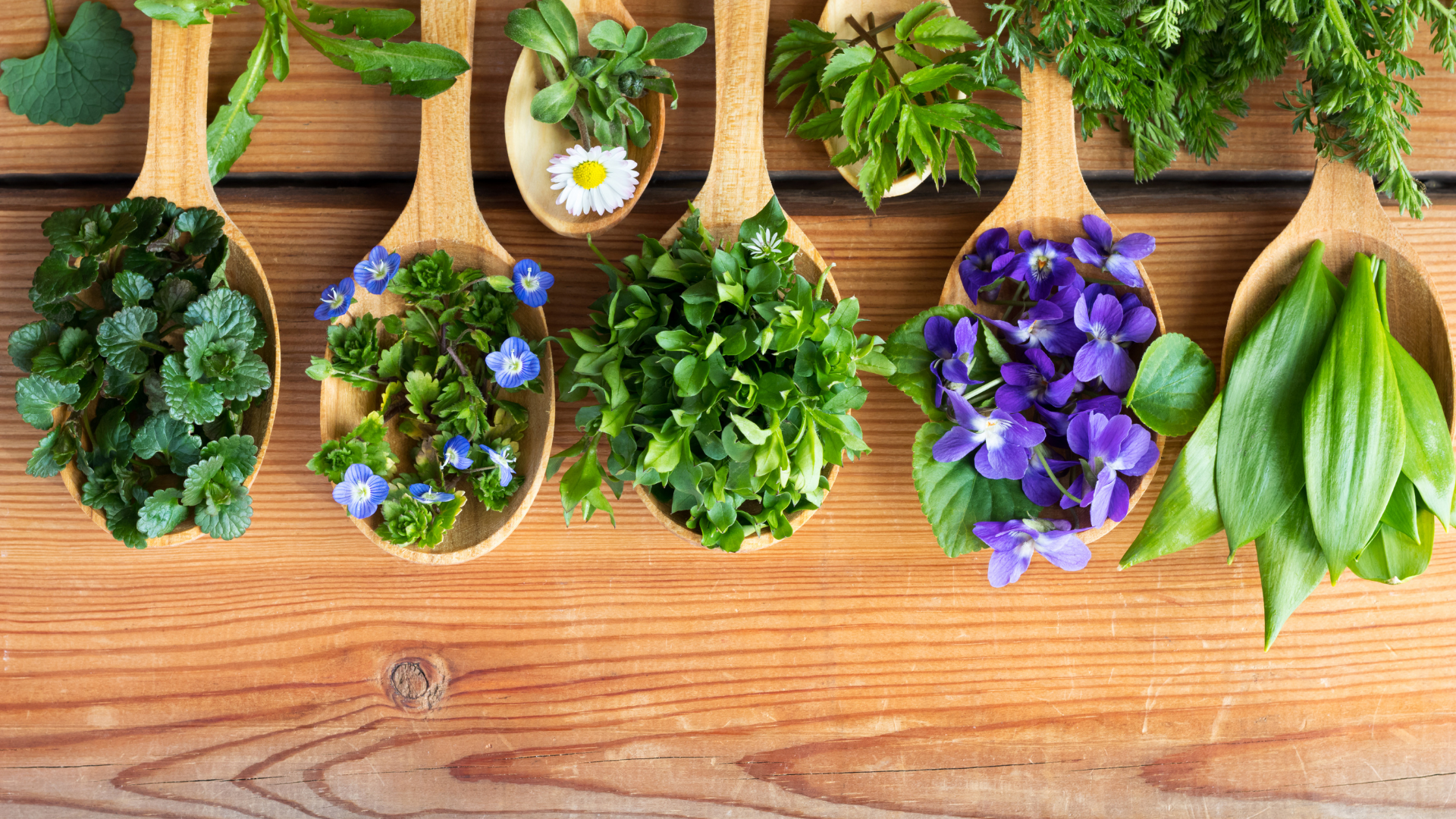 20 Edible Flowers You Should Grow In Your Vegetable Garden (Plus Few Extra Delicious Ones)