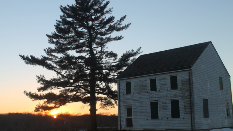 15 Signs That Your Tree Could Be A Major Hazard To Your Home (Plus A Few More Possible Causes)