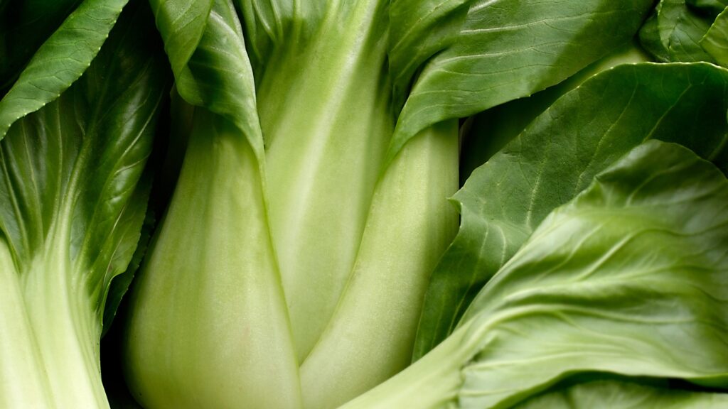 bok choy