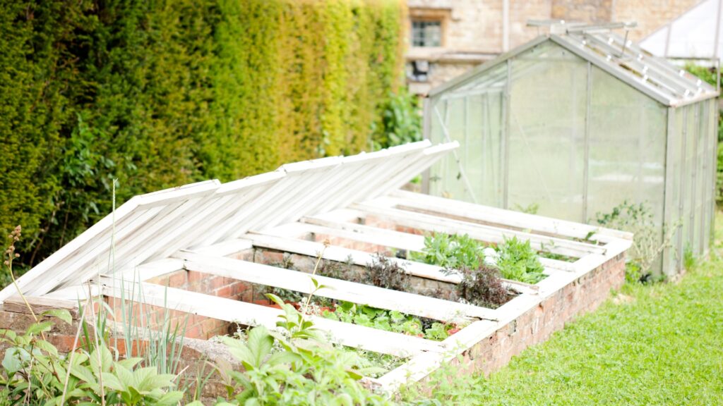 cold frame