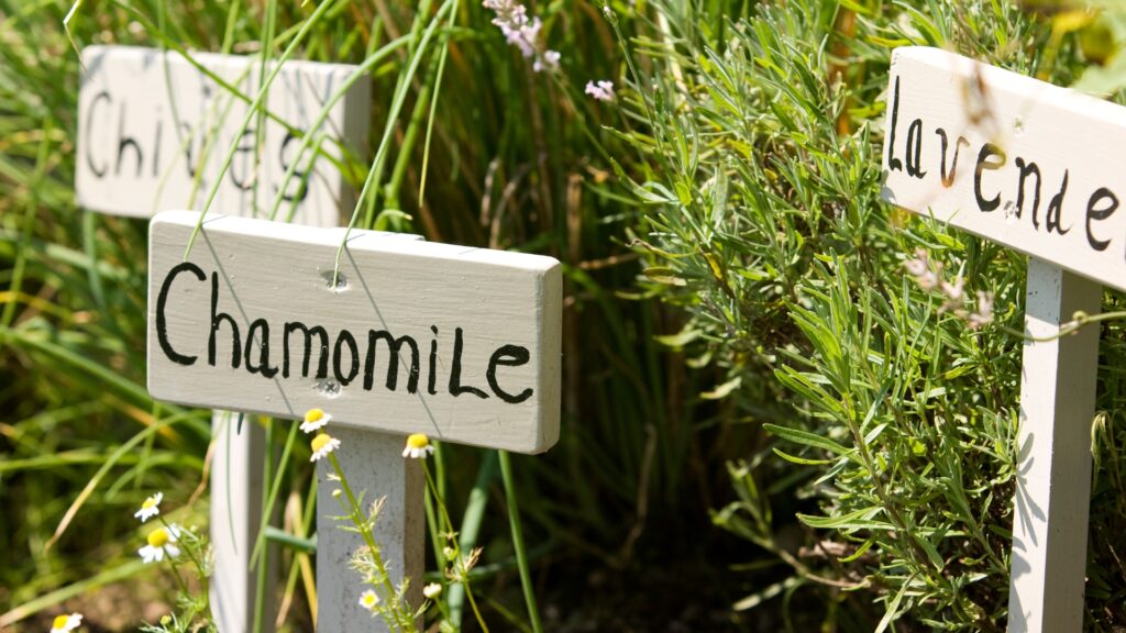 labeling plants