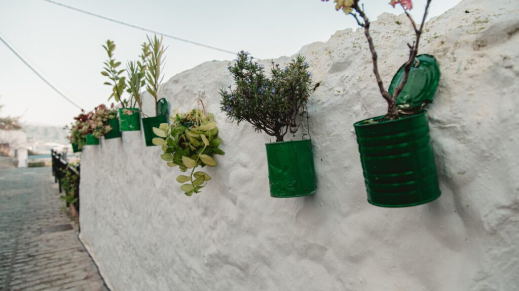 painted cans as planters