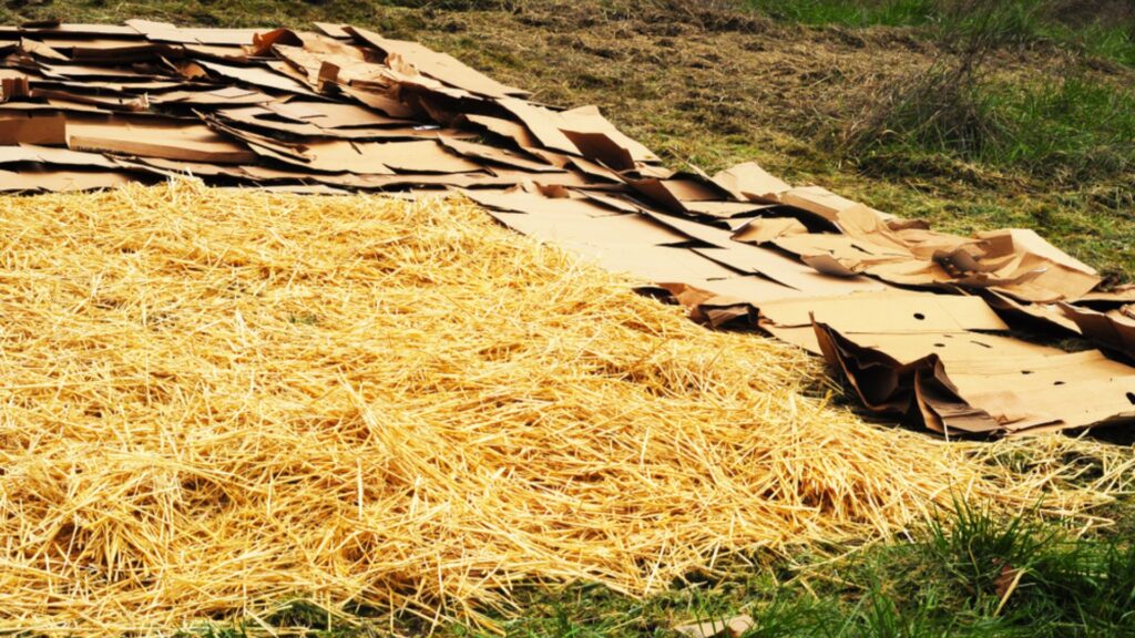 sheet mulching