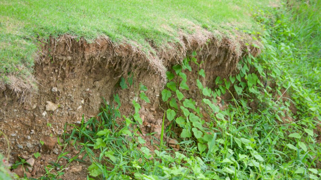 soil erosion