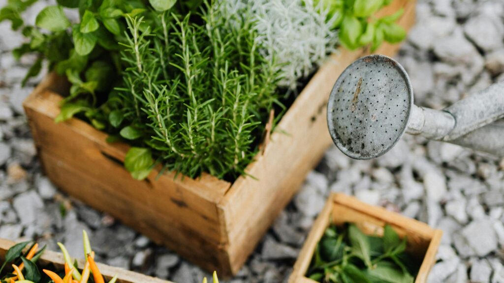 wooden crates gardening