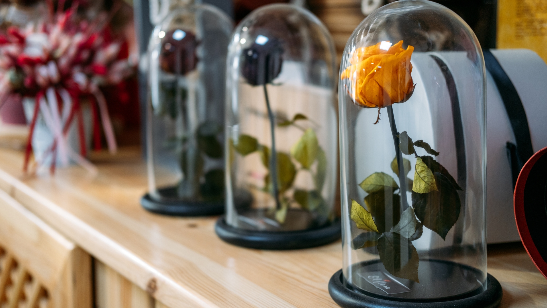 roses