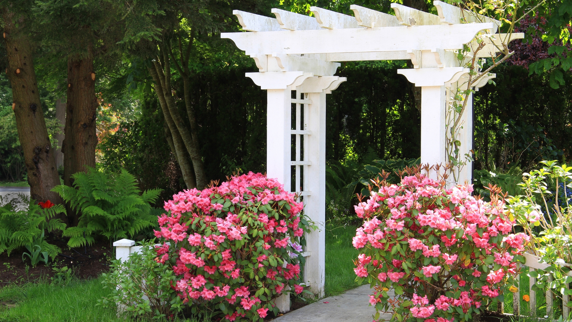 10 Spectacular Garden Arbor Ideas (Plus 9 To Inspire Your Next Project)