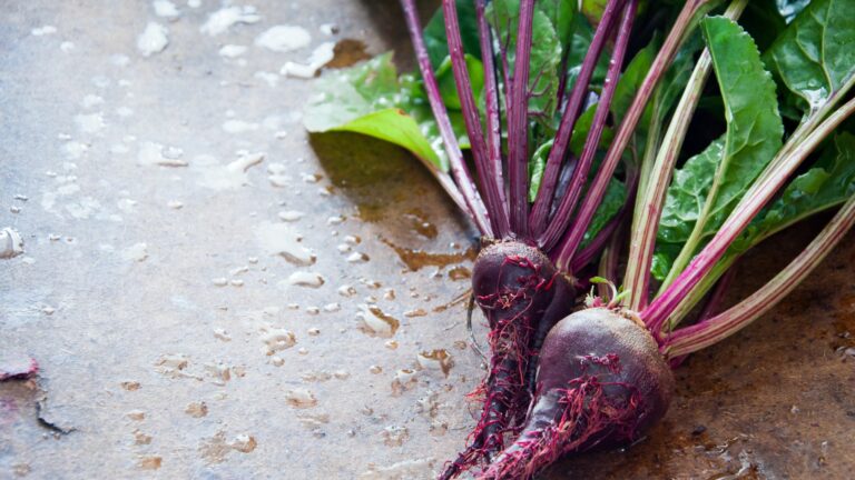 Homegrown root vegetables