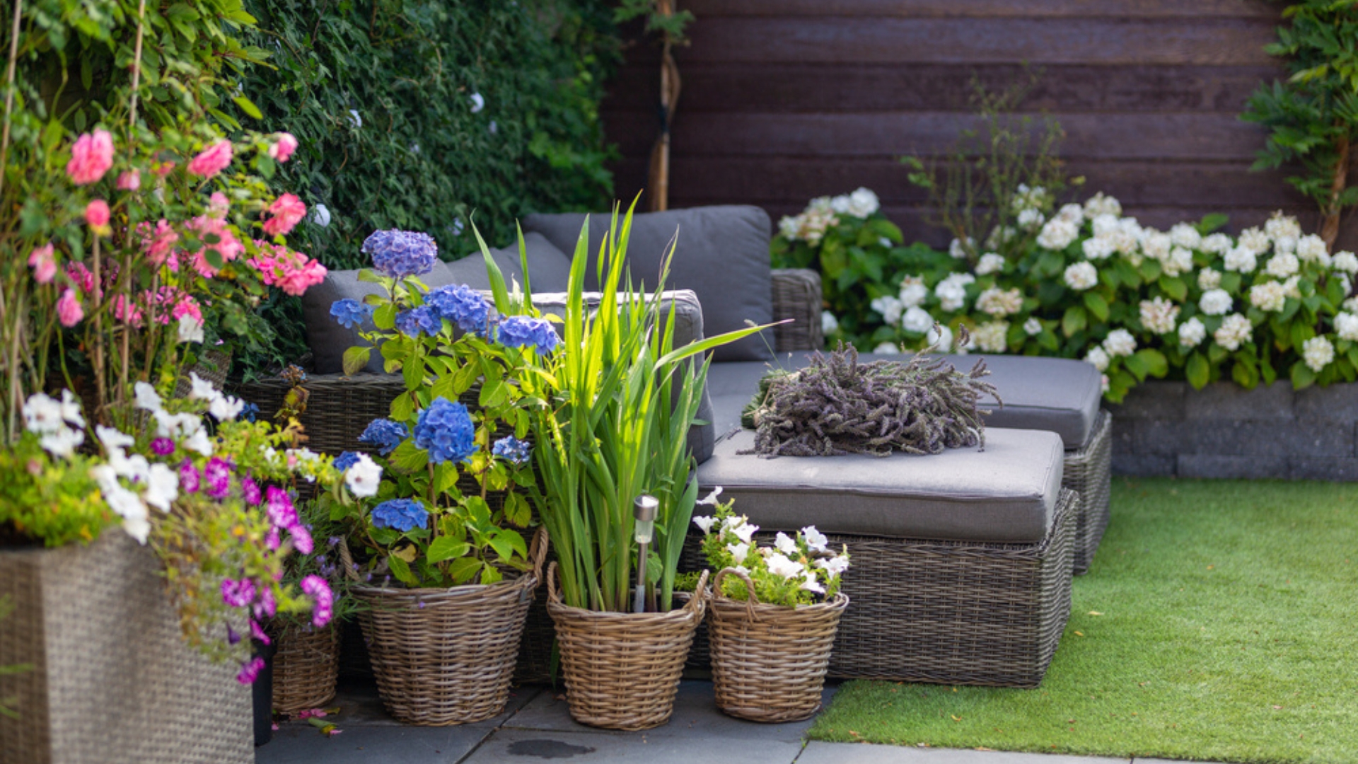 14 Stunning Plants You Can Add To Your Patio Planters For A Beautiful Display