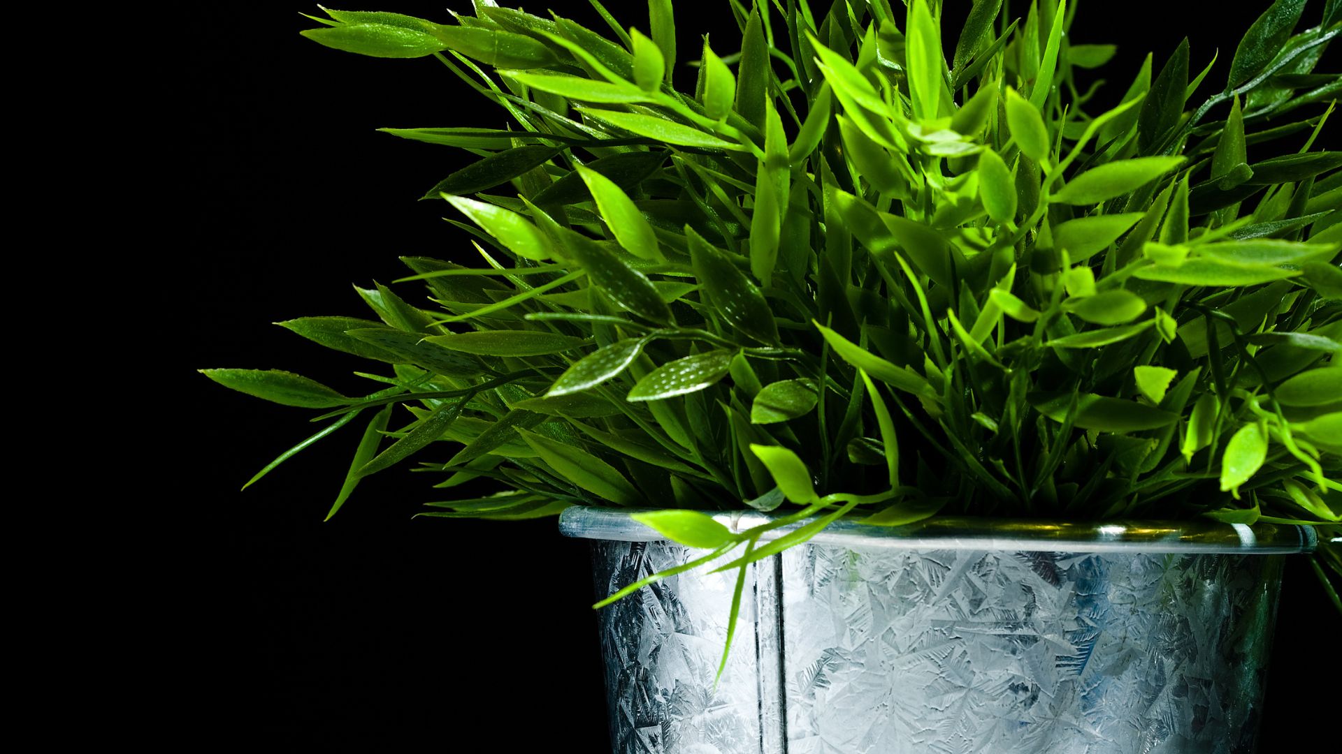 15 Bucket Gardening Tips That Make Growing In Small Spaces Shockingly Easy