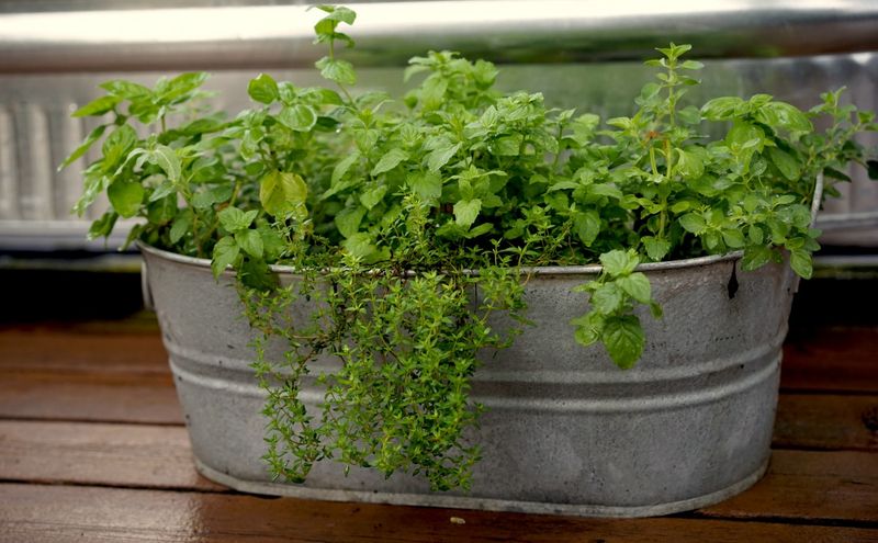 Choose The Right Bucket