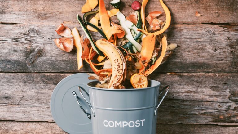 compost