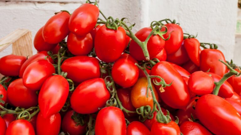 San Marzano Tomatoes