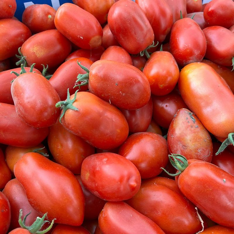 Roma Tomato