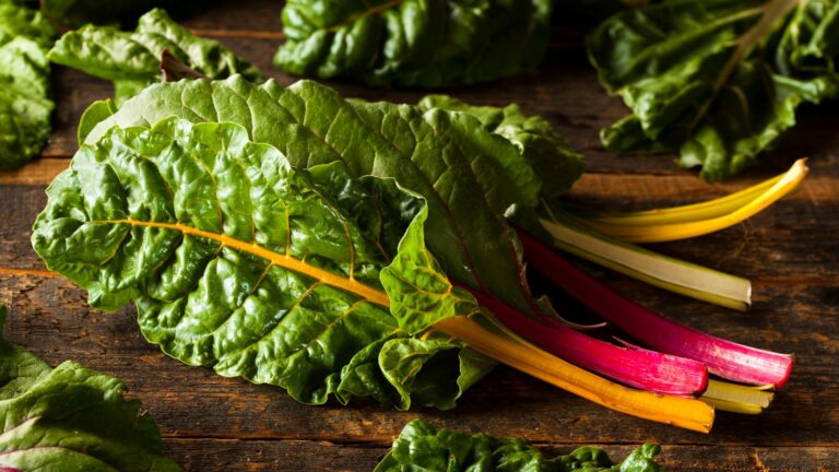 Raw Organic Rainbow Swiss Chard