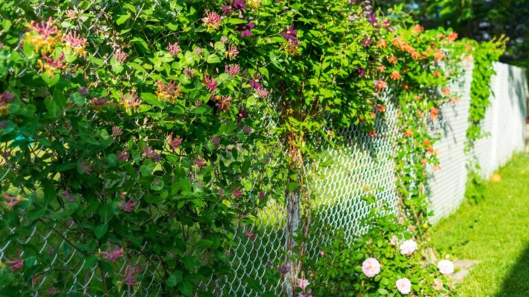chain link fence with flowers