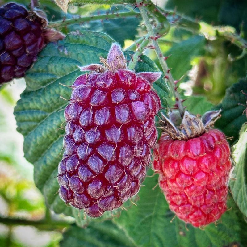 Choose the Right Location