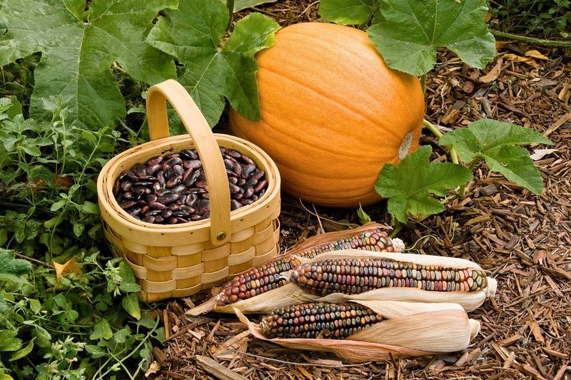 Companion Planting