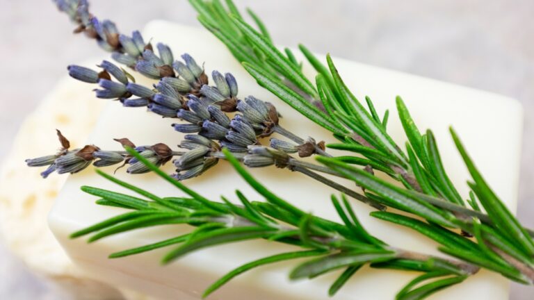 rosemary and lavender soap