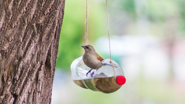 handcrafted bird feeders and waterers made with recycled plastic bottles