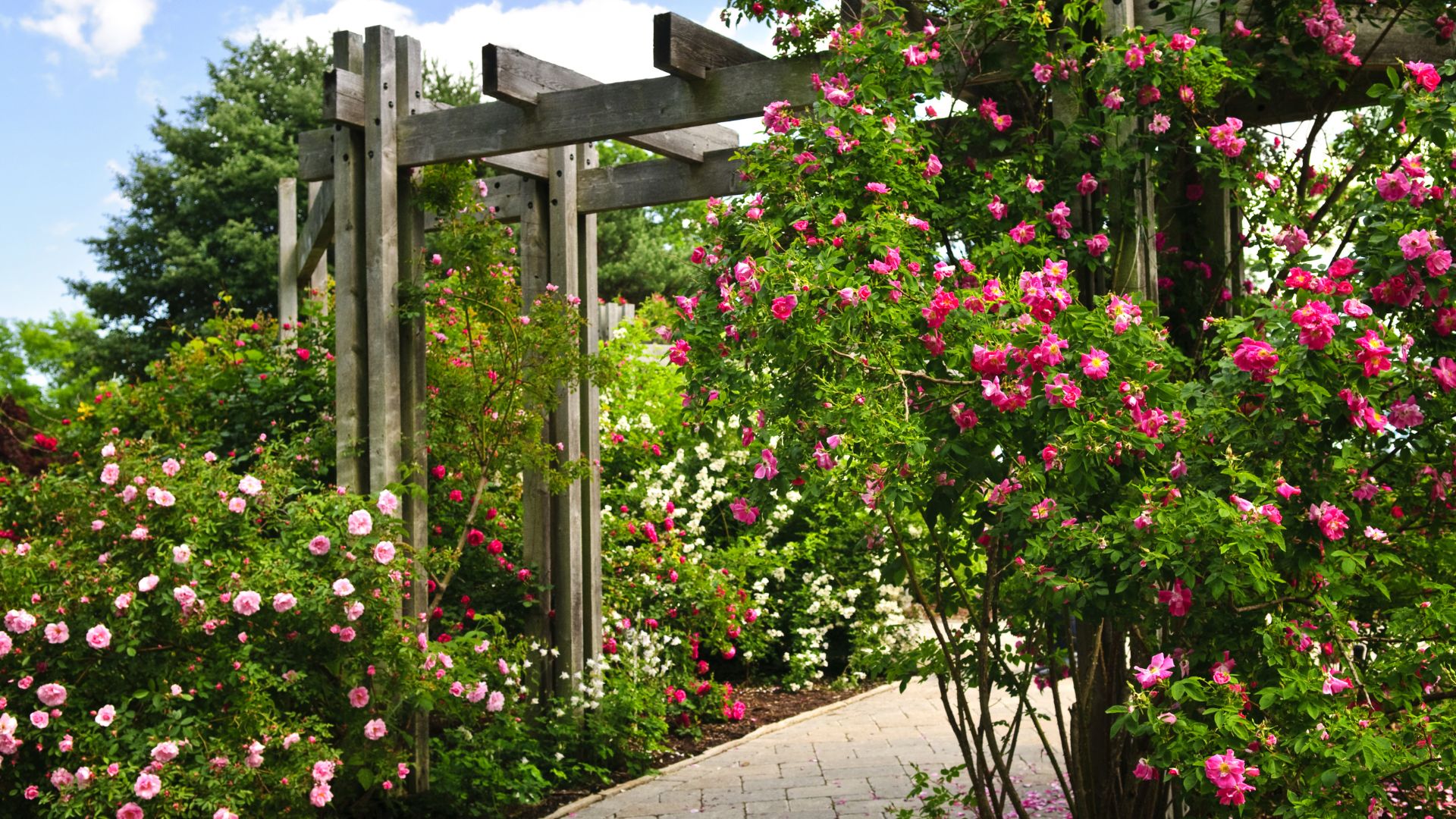 stunning landscaping