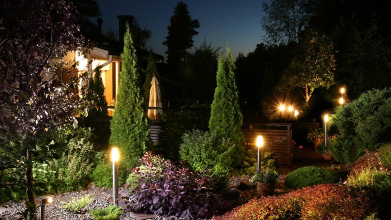 garden with bright lights