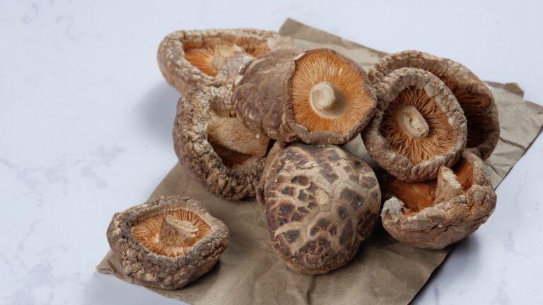 shitake mushrooms