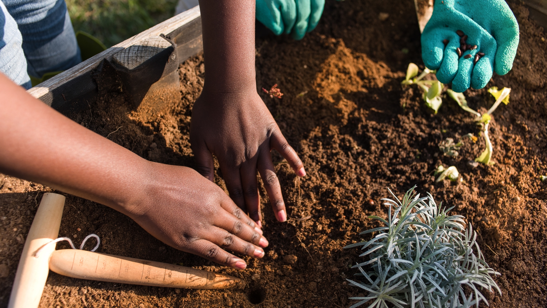 planting a garden