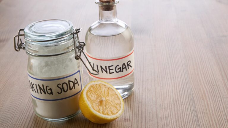 a bottle of vinegar, a jar of soda, and a slice of lemon