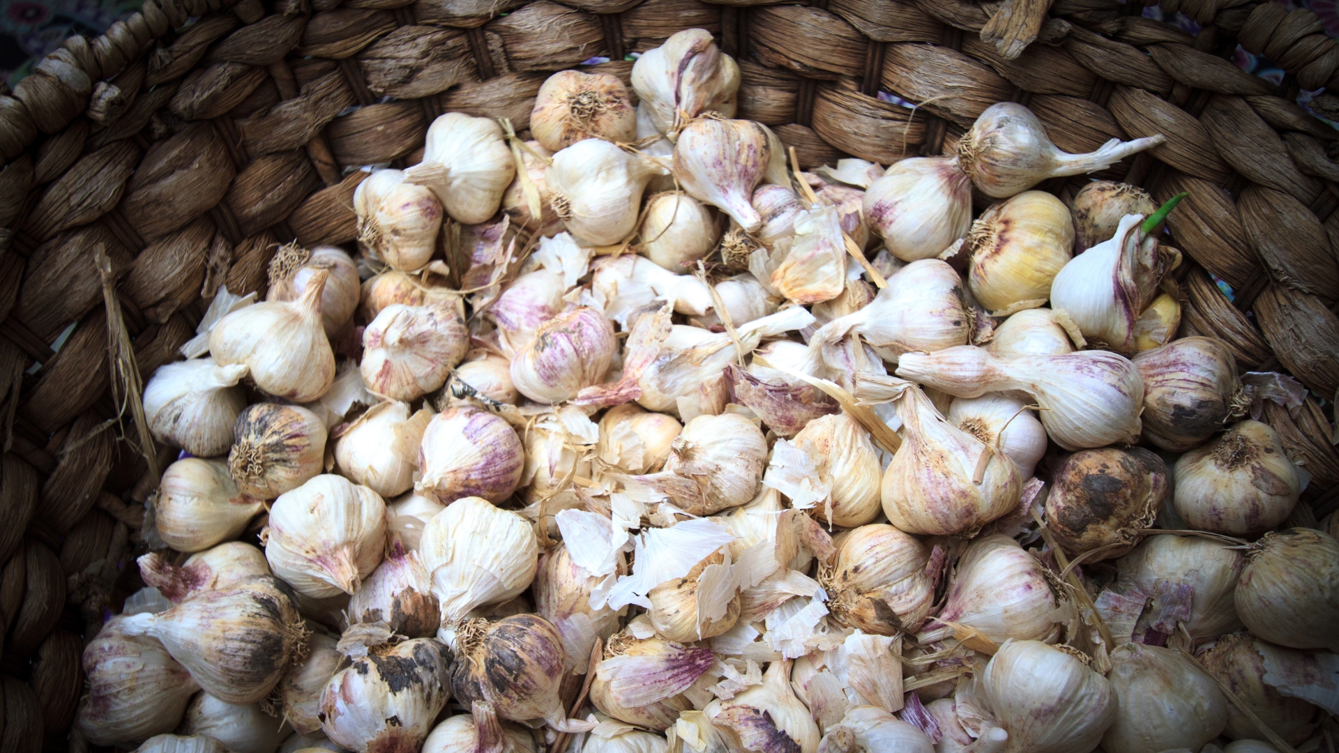 18 Reasons Your Garlic Bulbs Are Small – And Simple Tricks To Size Them Up