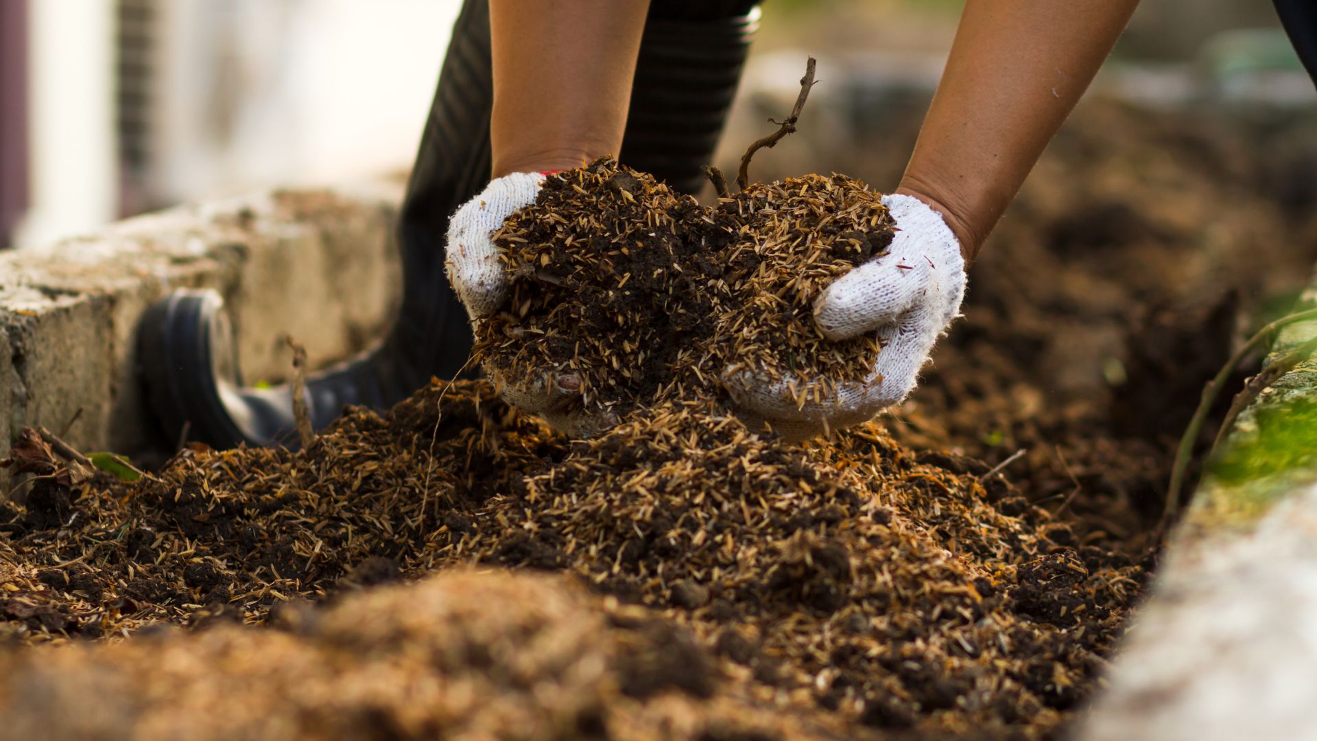 Soil mixed with compost at vegetable garden