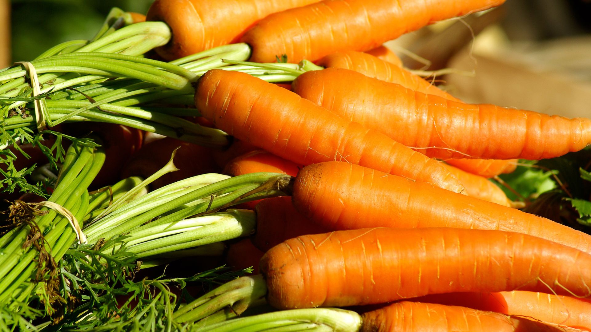 18 Top Vegetables To Plant In May For A Strong Summer Harvest