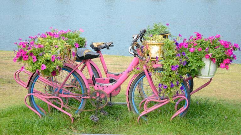 vintage bicycle as planter
