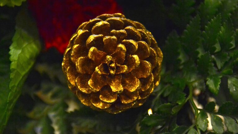 festive pinecone