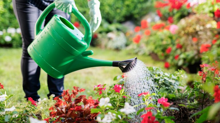 Woman watering garden with green watering can.