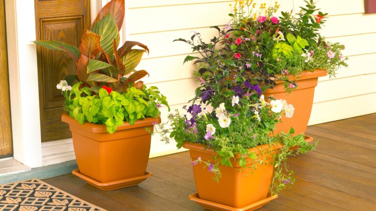 Terracotta Indoor Planters
