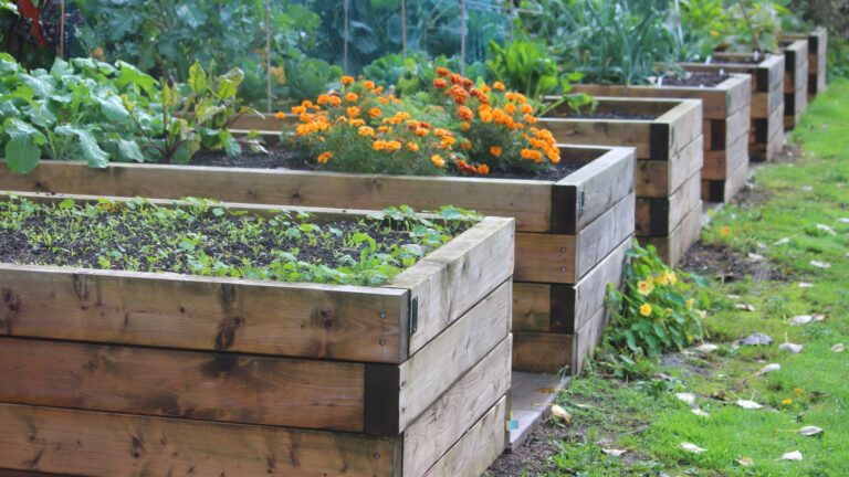 Wooden Raised Beds