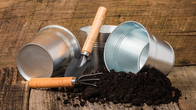 Potting Soil