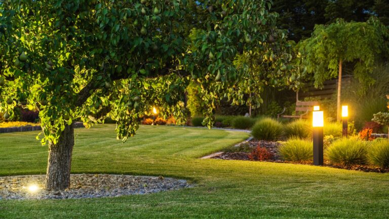 Beautiful Landscape Garden with Outdoor Lights