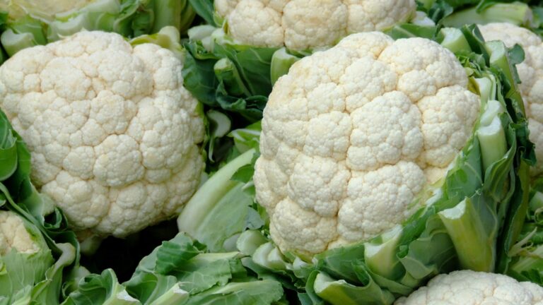 cauliflower