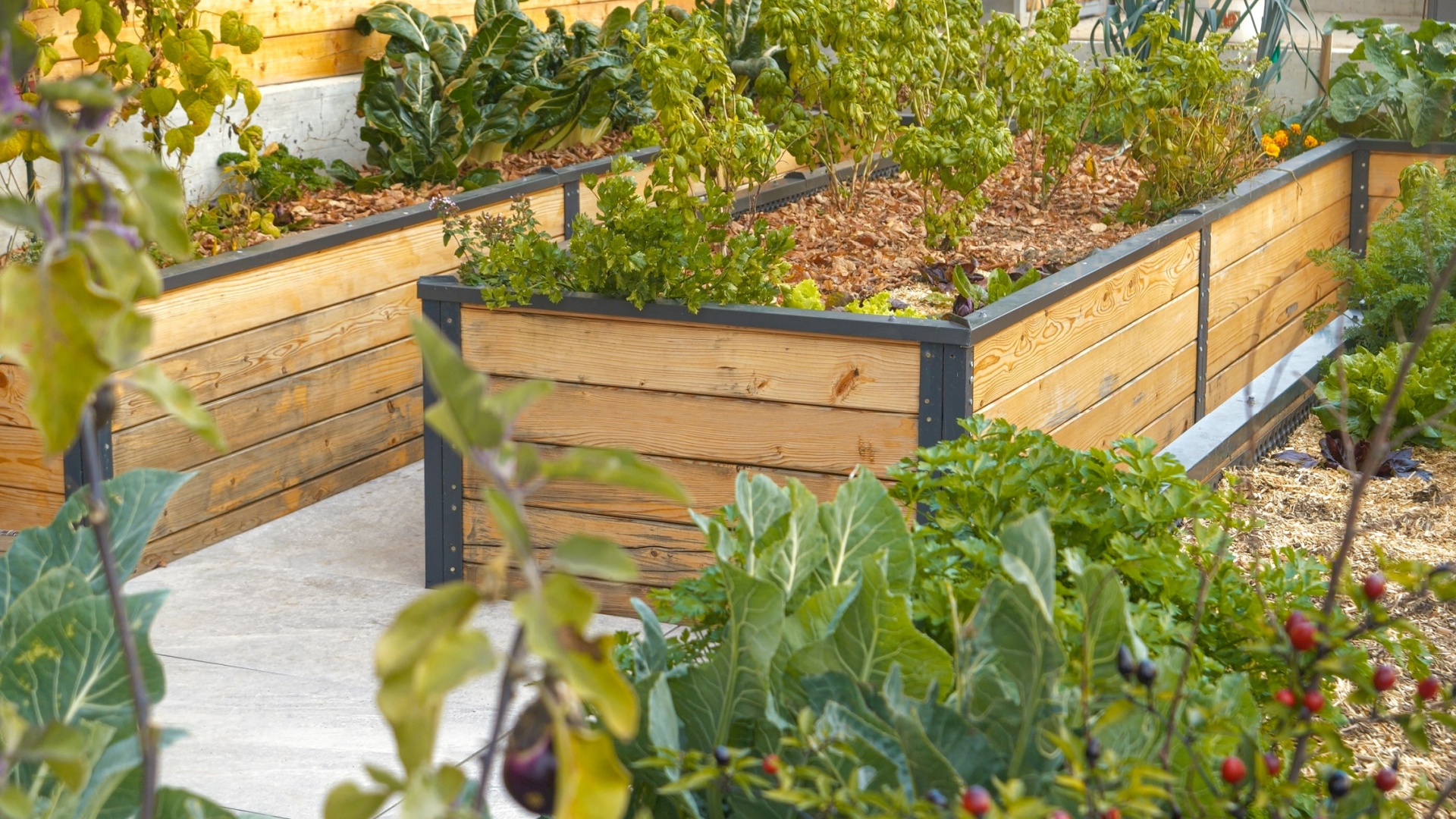23 Benefits Of Growing Vegetables In Raised Beds (And Mistakes To Avoid)