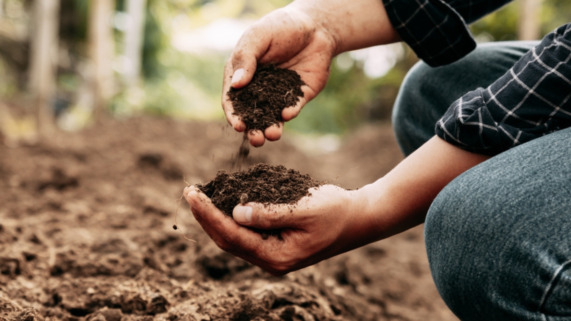 24 Mistakes That Are Ruining Soil Quality In Your Garden — And Easy Ways To Fix Them