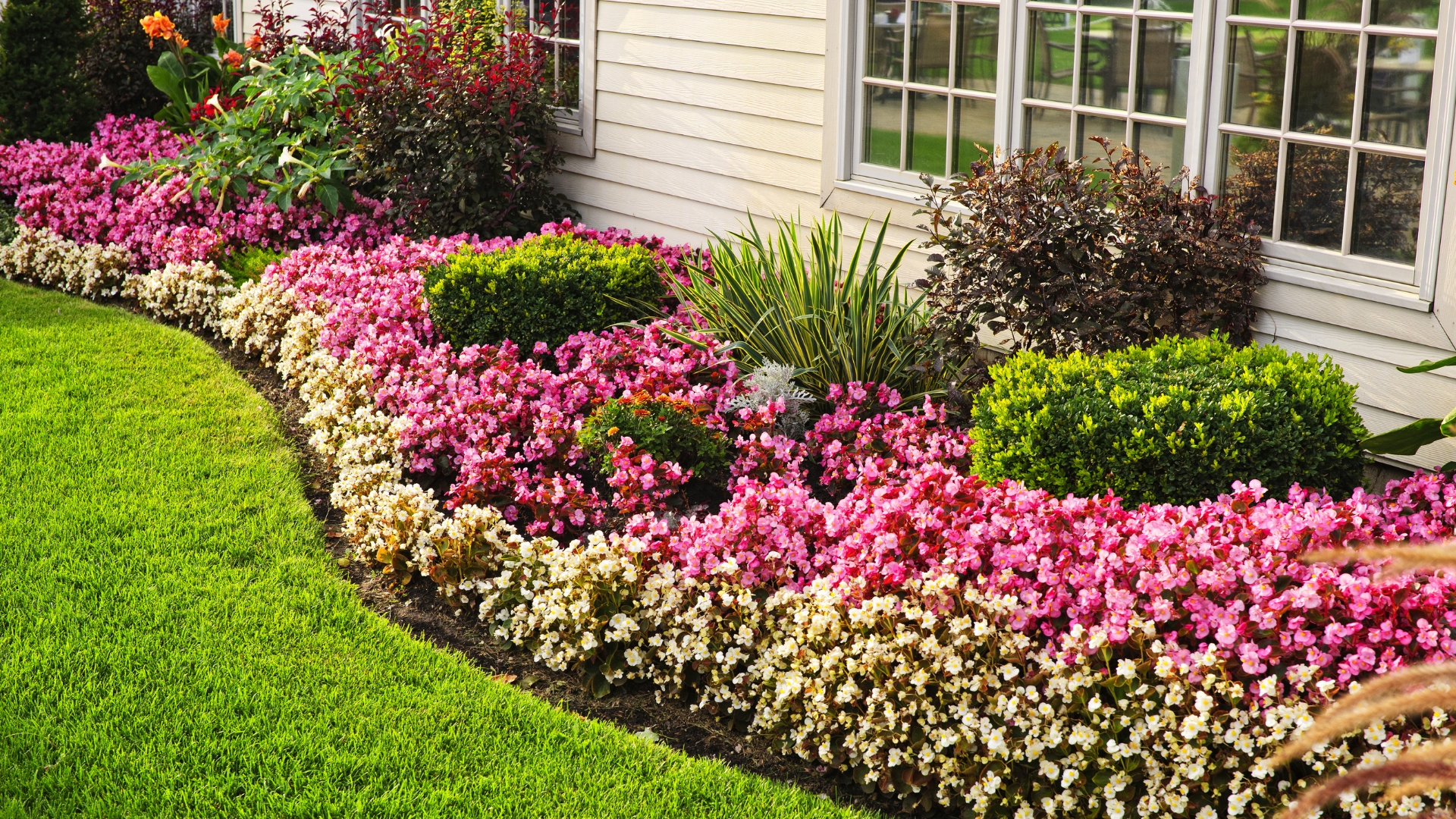 Landscape Edging