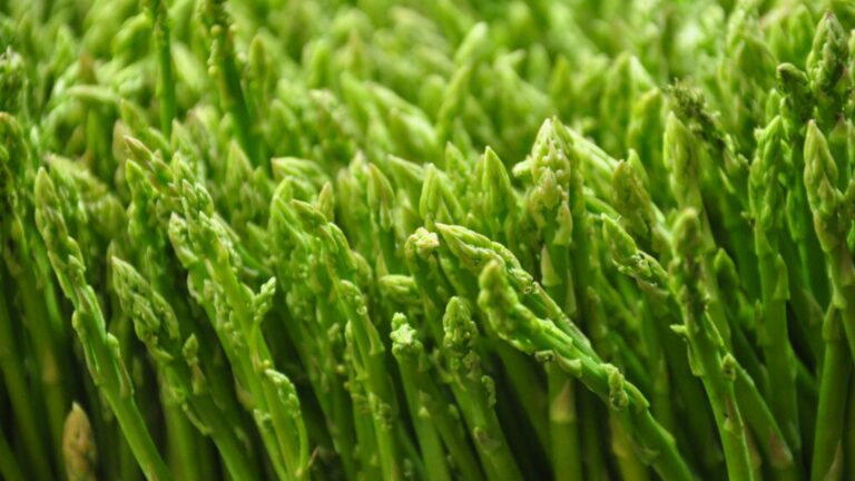 asparagus