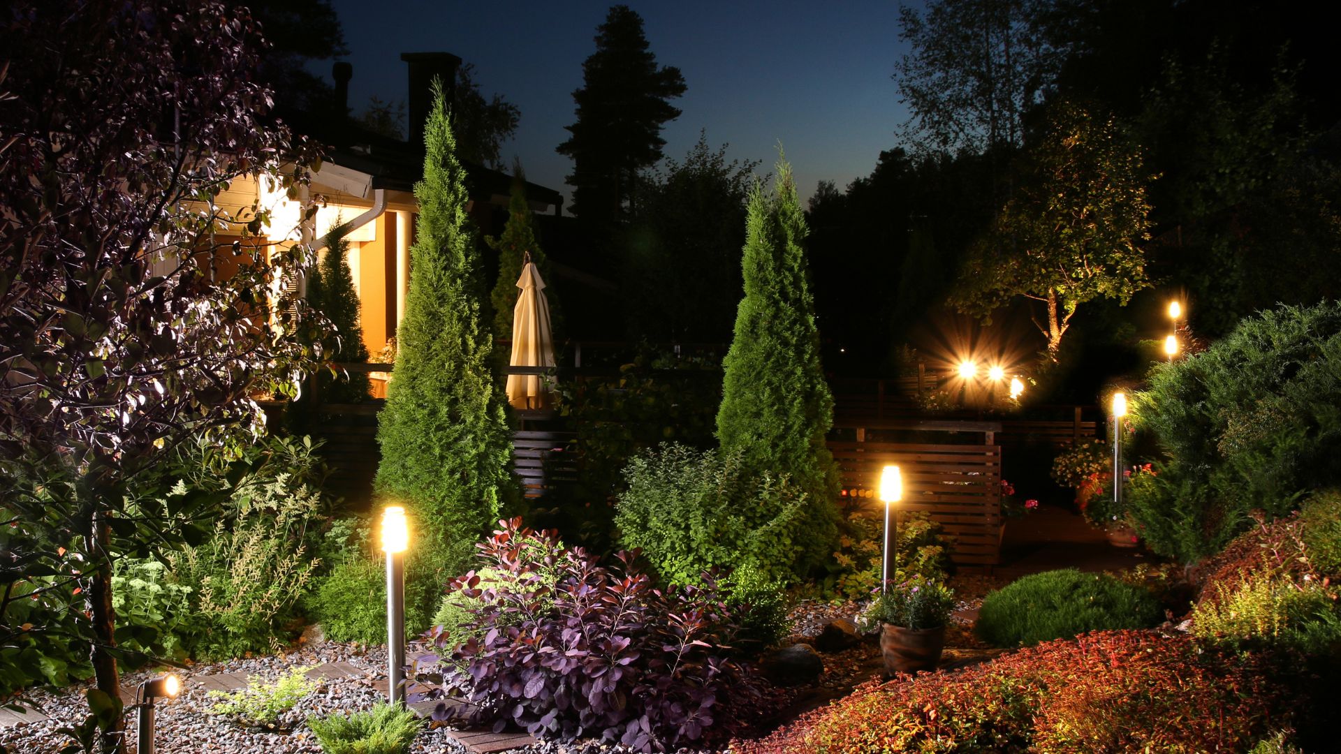 garden with lights