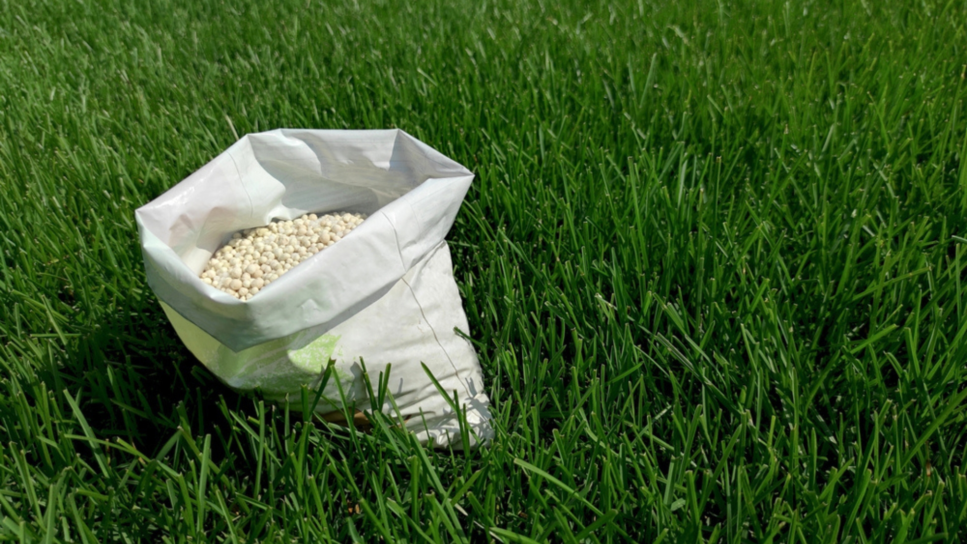 a bag of fertilizer on grass